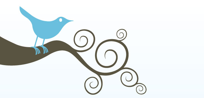 Twitter (C) Claudio Toledo CC BY 2.0 https://creativecommons.org/licenses/by/2.0/